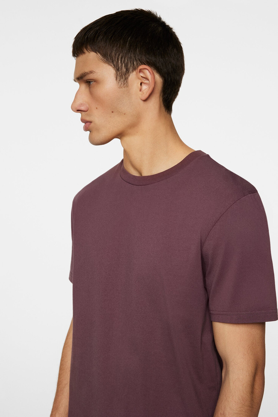 camiseta básica de sid